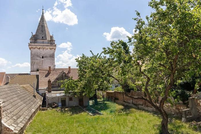 Prodej vinného sklepa, Pavlov, Na Návsi, 49 m2