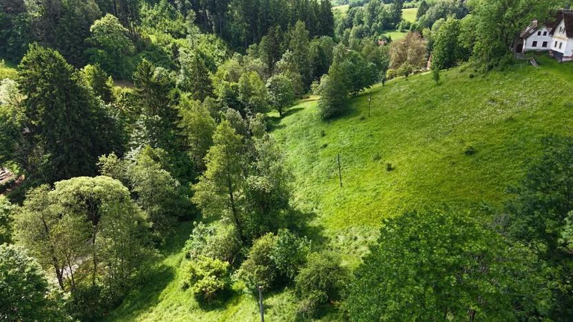 Prodej pozemku pro bydlení, Čermná, 895 m2