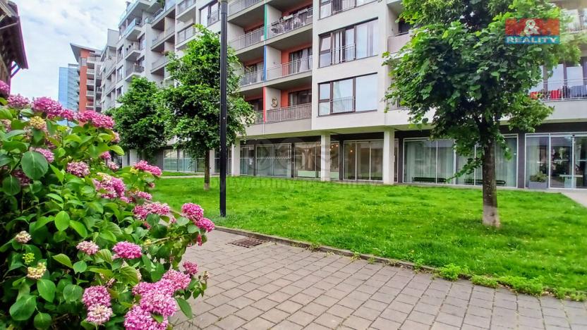Pronájem kanceláře, Praha, Jankovcova, 58 m2