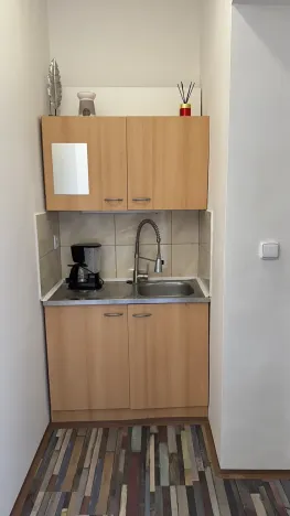 Pronájem bytu 1+kk, Brno, Dukelská třída, 27 m2