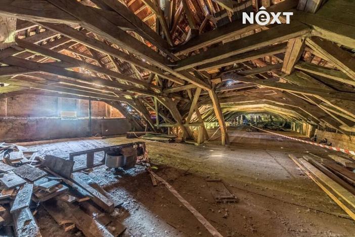 Prodej - jiné, Buzice, 1800 m2