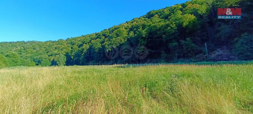 Prodej louky, Nižbor - Žloukovice, 1665 m2