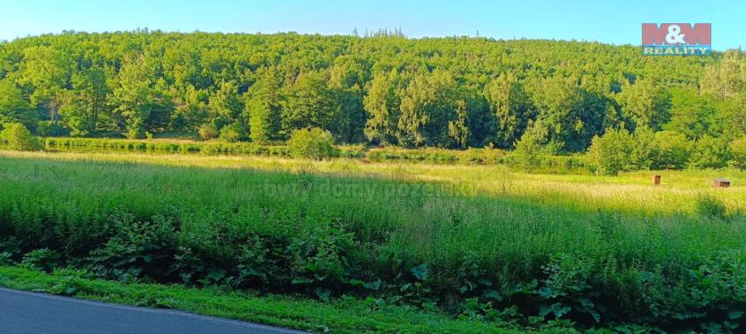 Prodej louky, Nižbor - Žloukovice, 1665 m2