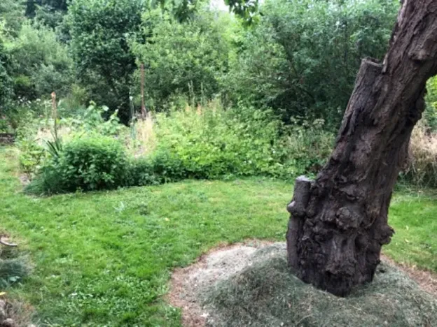 Prodej bytu 2+1, Jihlava, Telečská, 66 m2