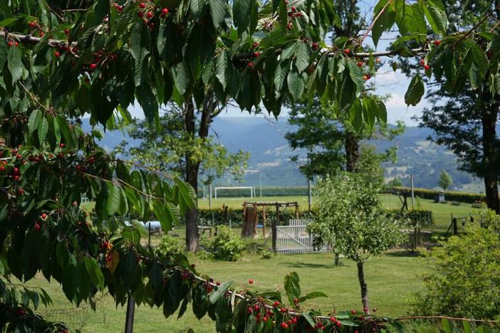 Prodej rodinného domu, Vysoké nad Jizerou, 165 m2