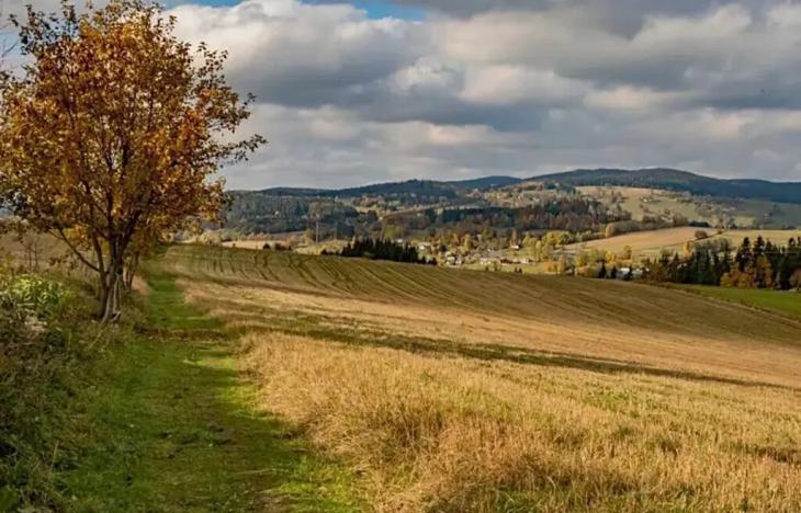 Prodej ubytování, Vysoké nad Jizerou, 165 m2