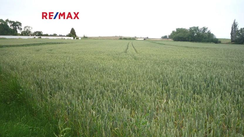 Prodej pozemku pro bydlení, Hořesedly, 985 m2