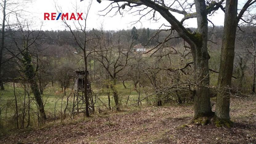 Prodej chaty, Plasy, 50 m2