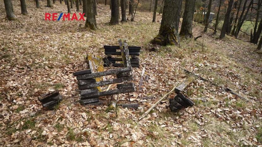 Prodej chaty, Plasy, 50 m2