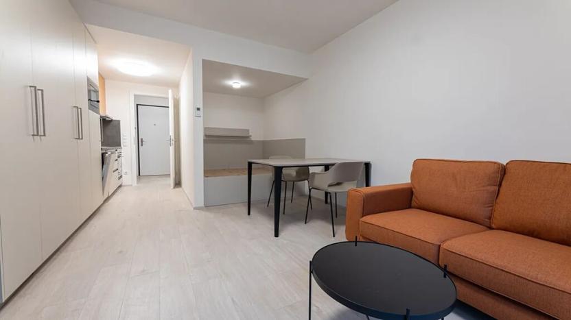 Pronájem bytu 1+kk, Praha - Žižkov, Hartigova, 34 m2