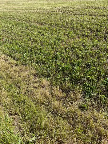 Prodej pole, Žďár nad Sázavou, 6249 m2