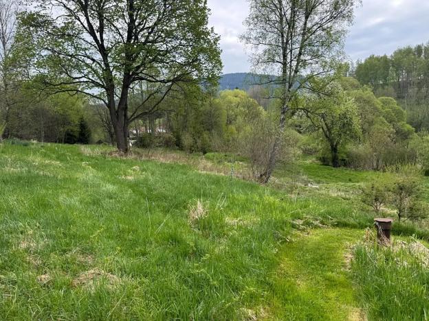 Prodej komerčního pozemku, Horní Vltavice, 14058 m2