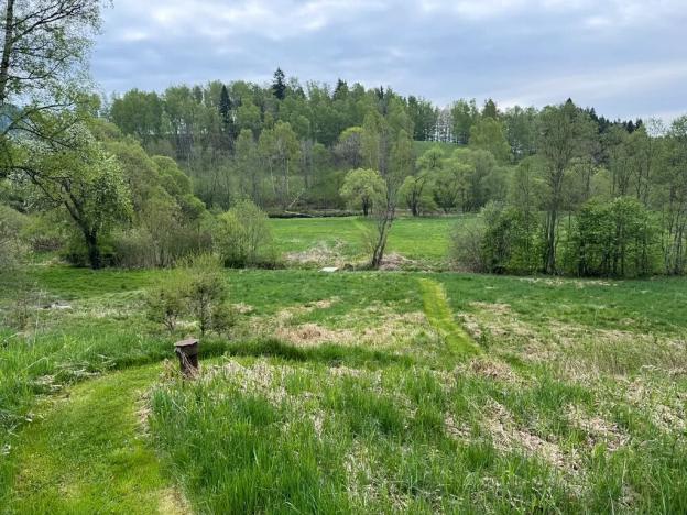 Prodej komerčního pozemku, Horní Vltavice, 14058 m2