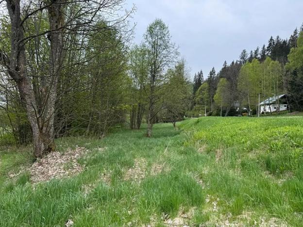 Prodej pozemku pro bydlení, Horní Vltavice, 7500 m2