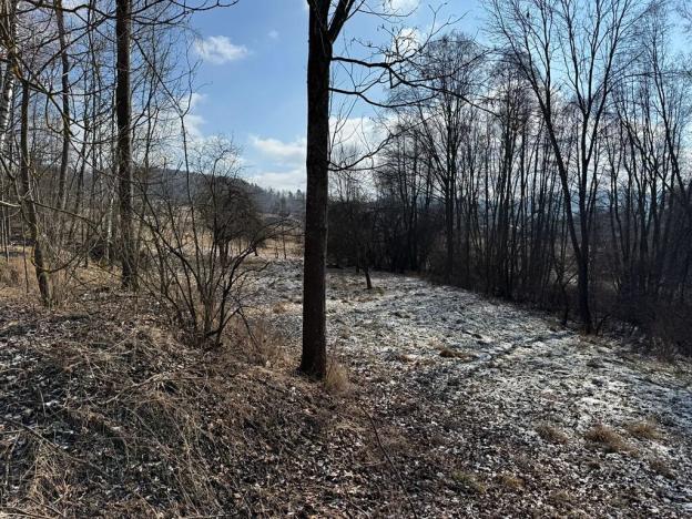 Prodej chalupy, Zdíkov, 120 m2