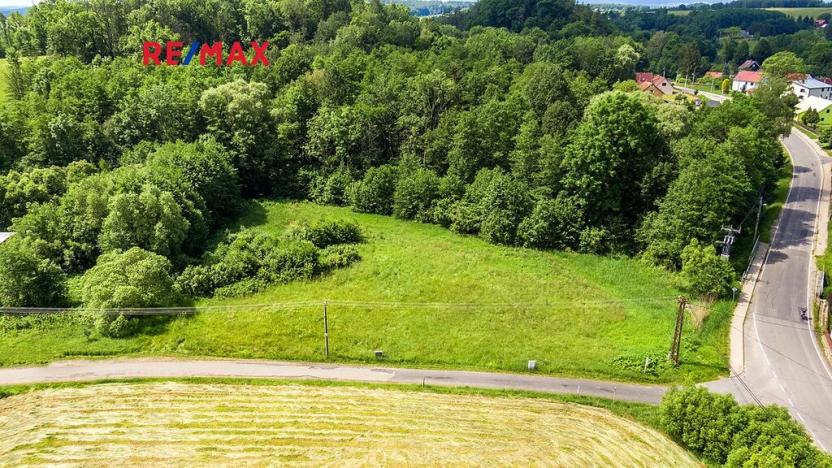 Prodej pozemku pro bydlení, Nový Bor, 1999 m2