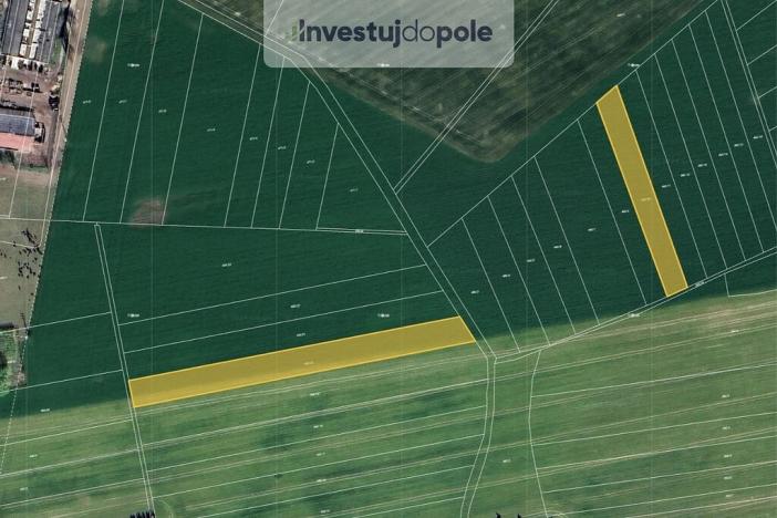 Prodej pole, Pardubice, 2906 m2
