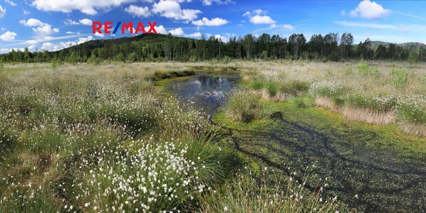 Prodej ubytování, Volary, K. V. Raise, 392 m2