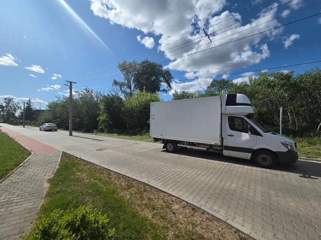 Prodej lesa, Cvrčovice, 4746 m2