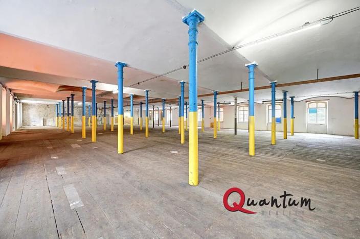 Prodej obchodního prostoru, Janská, 4600 m2