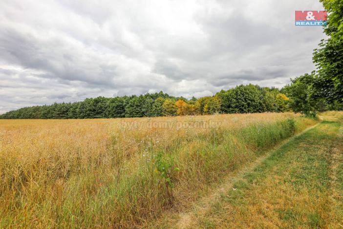 Prodej pole, Chrást, 11929 m2
