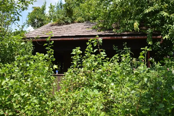 Prodej rodinného domu, Jablonné nad Orlicí, Českých bratří, 181 m2