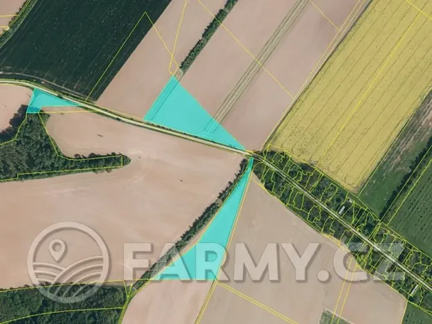 Prodej pole, Bohušov, 233997 m2