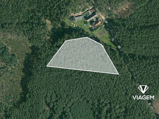 Prodej podílu lesa, Bělá pod Bezdězem, 1634 m2