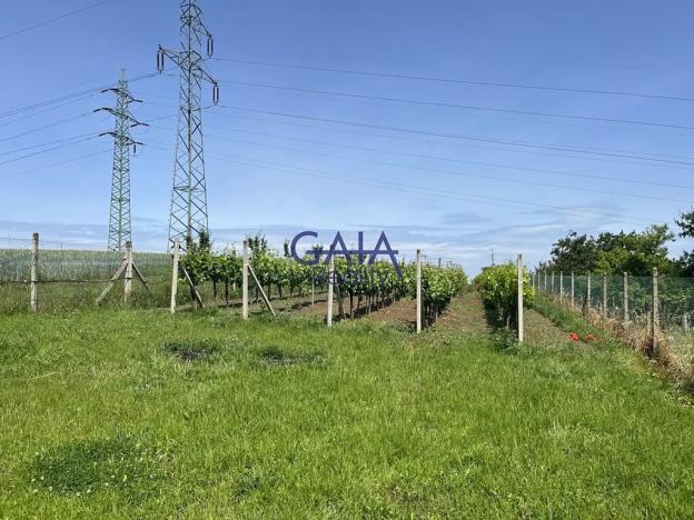 Prodej zahrady, Svatobořice-Mistřín, 2383 m2