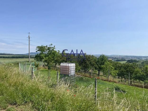 Prodej zahrady, Svatobořice-Mistřín, 2383 m2