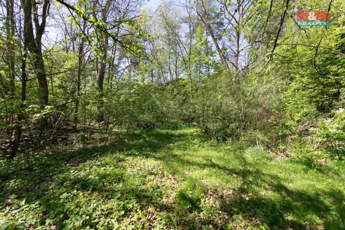 Prodej pozemku pro bydlení, Horšovský Týn - Plzeňské Předměstí, 1256 m2