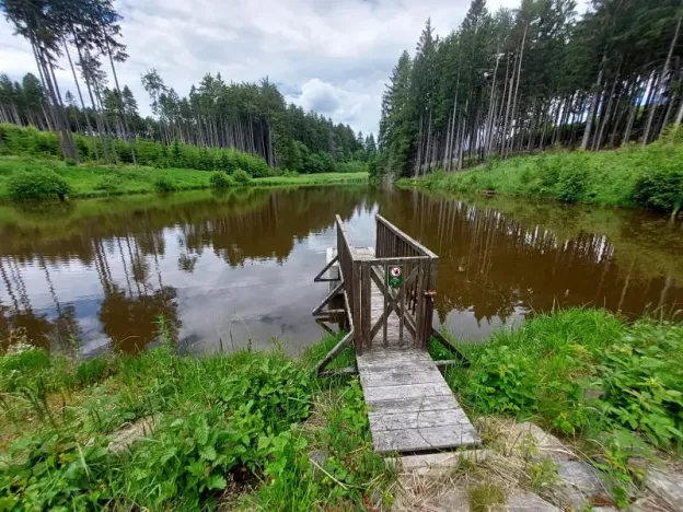Pronájem rybníku, Brtnice, 6364 m2