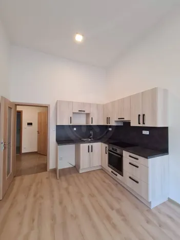 Pronájem bytu 2+kk, České Budějovice, Riegrova, 65 m2