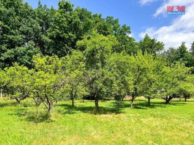 Prodej chaty, Strakonice, 28 m2