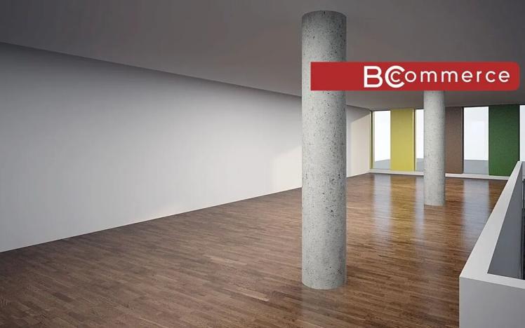 Pronájem obchodního prostoru, Brno, Polní, 460 m2