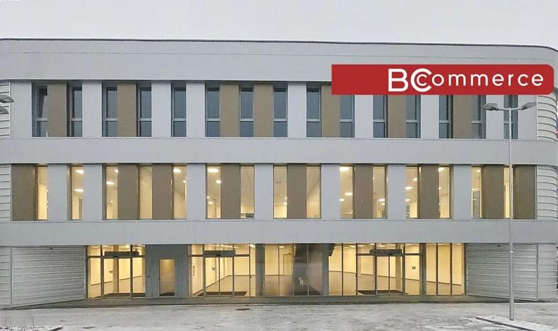 Pronájem obchodního prostoru, Brno, Polní, 460 m2