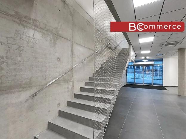 Pronájem obchodního prostoru, Brno, Polní, 460 m2