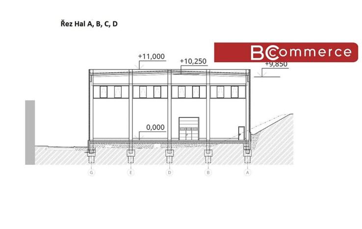 Pronájem výrobních prostor, Holubice, 1481 m2