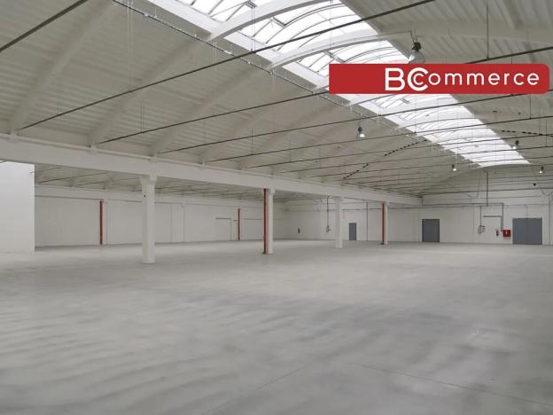 Pronájem skladu, Holubice, 1100 m2