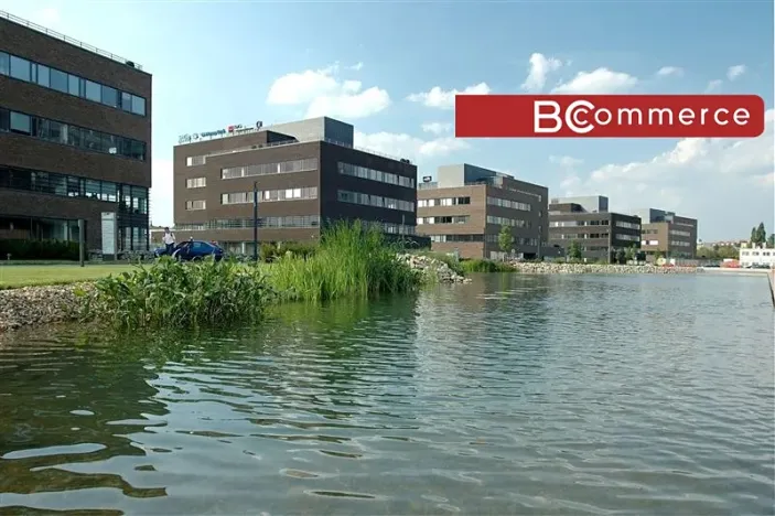 Pronájem kanceláře, Brno, 250 m2