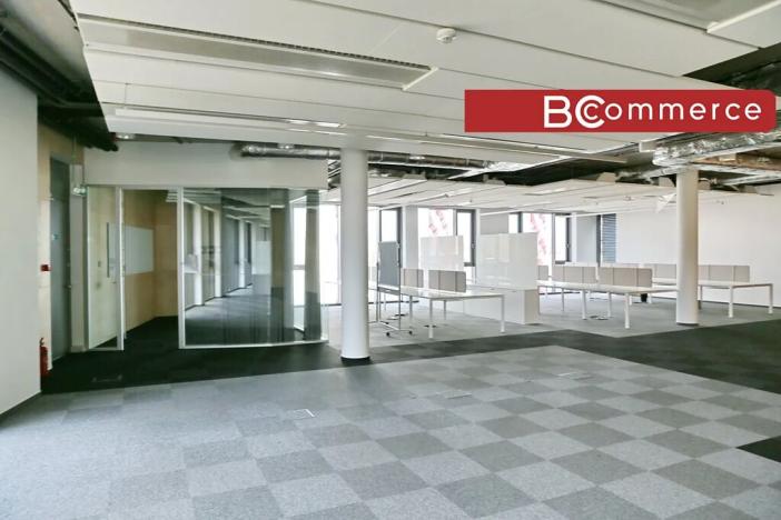 Pronájem kanceláře, Brno, 600 m2