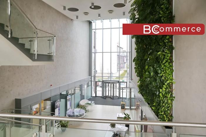 Pronájem kanceláře, Brno, 600 m2