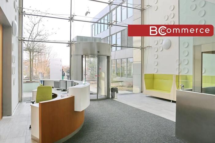 Pronájem kanceláře, Brno, 600 m2