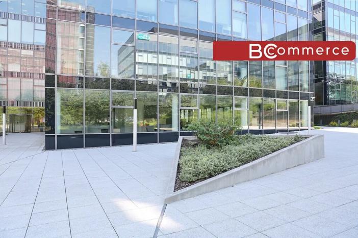 Pronájem kanceláře, Brno, 700 m2