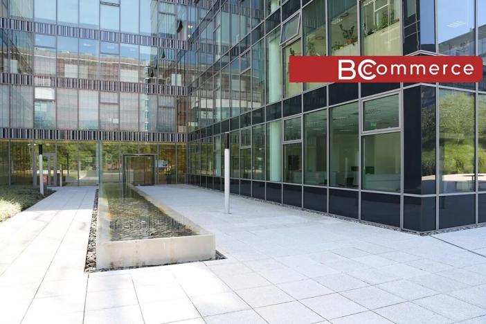 Pronájem kanceláře, Brno, 700 m2