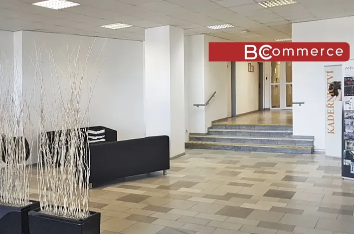 Pronájem kanceláře, Brno, Mariánské náměstí, 30 m2