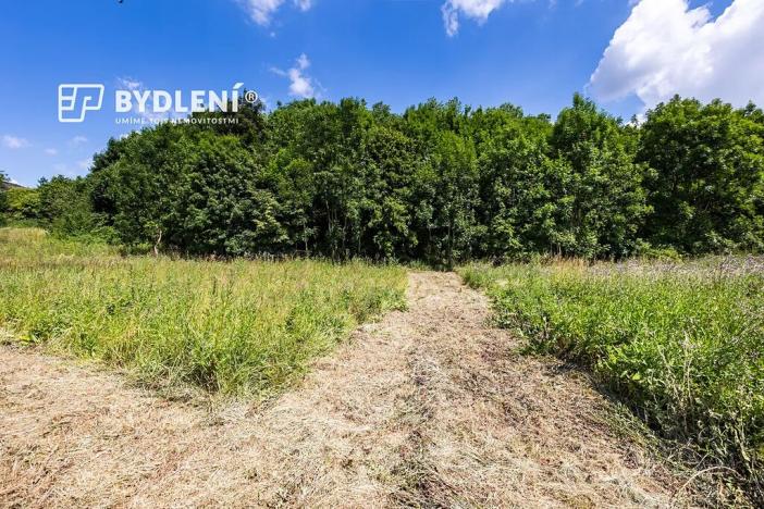 Prodej pozemku pro bydlení, Velemín, 5381 m2