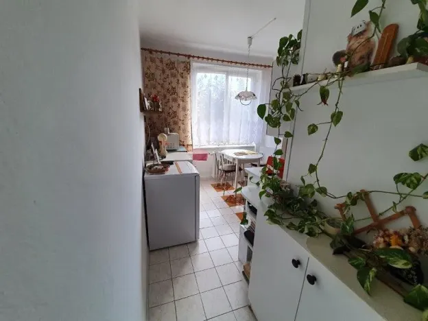 Pronájem bytu 3+1, Jihlava, Evžena Rošického, 65 m2