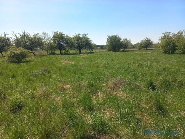 Prodej komerčního pozemku, Česká Skalice, U Topolů, 3700 m2