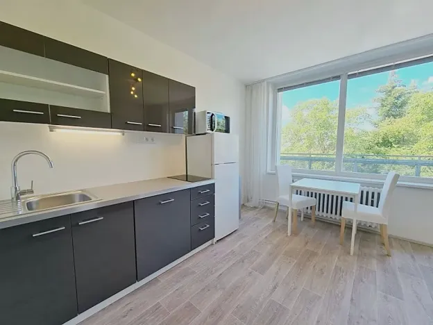 Pronájem bytu 2+kk, Praha - Kamýk, Lojovická, 49 m2